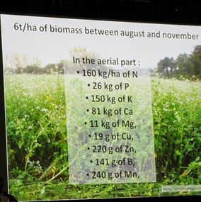 Groundswell-Agriculture-planteavlskursus-biomasse-rejs-og-oplev